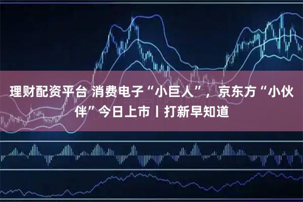 理财配资平台 消费电子“小巨人”，京东方“小伙伴”今日上市丨打新早知道