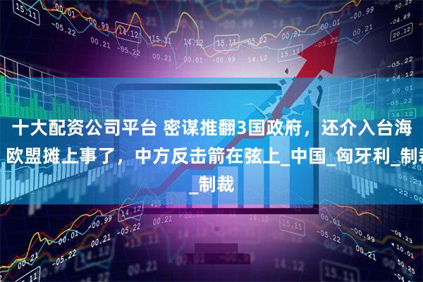 十大配资公司平台 密谋推翻3国政府，还介入台海，欧盟摊上事了，中方反击箭在弦上_中国_匈牙利_制裁