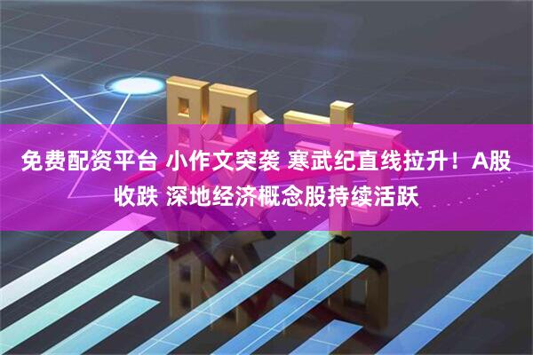 免费配资平台 小作文突袭 寒武纪直线拉升！A股收跌 深地经济概念股持续活跃